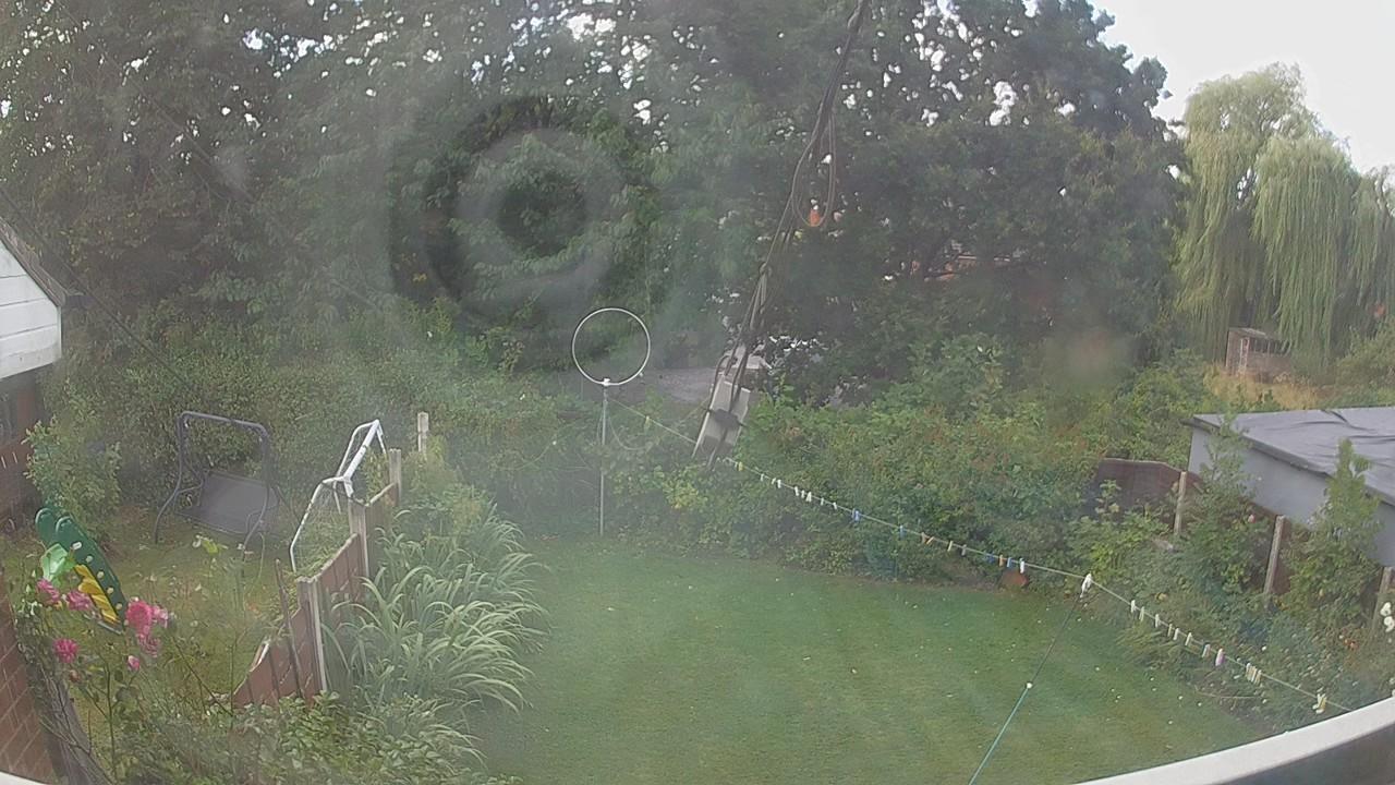 20260806_101725_cam1.jpg