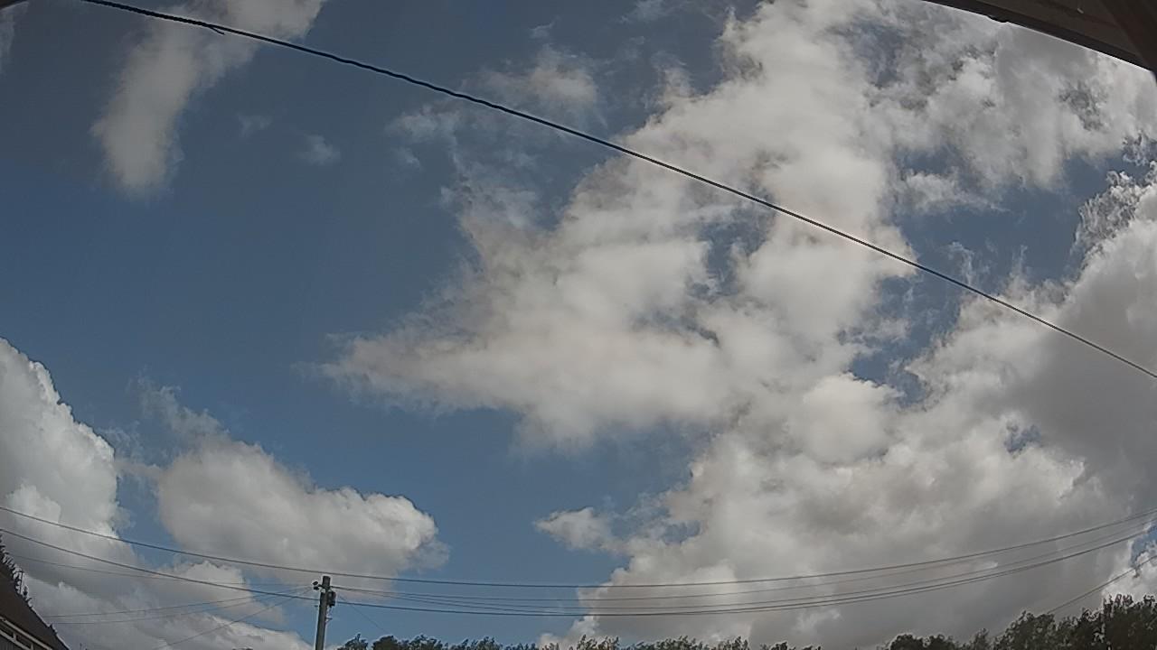 20260806_101726_cam2.jpg