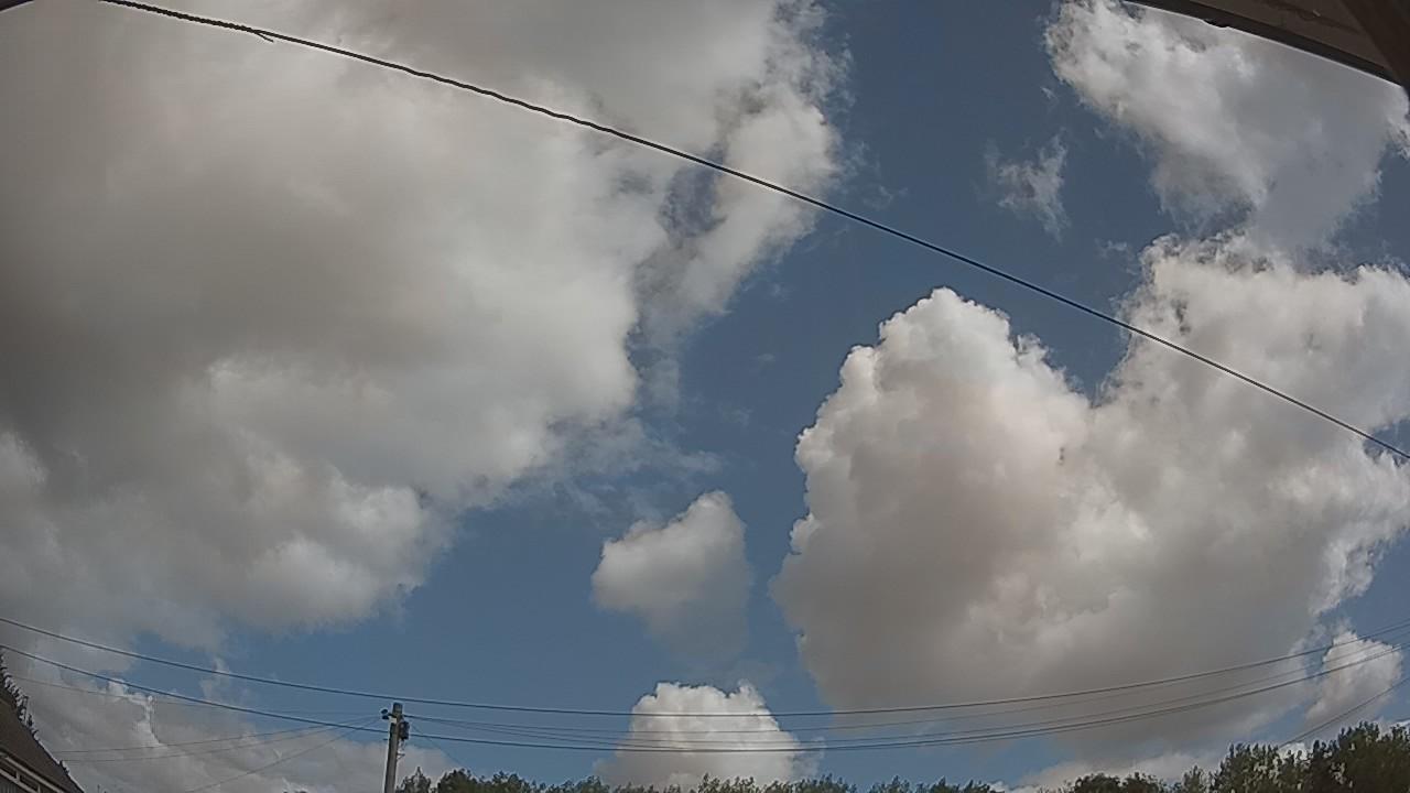 20260806_104106_cam2.jpg