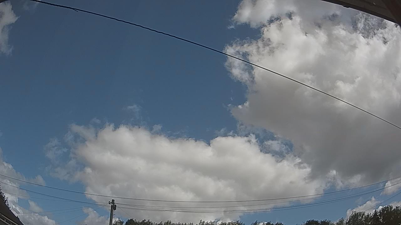 20260806_104958_cam2.jpg