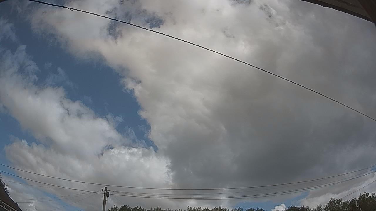 20260806_110129_cam2.jpg