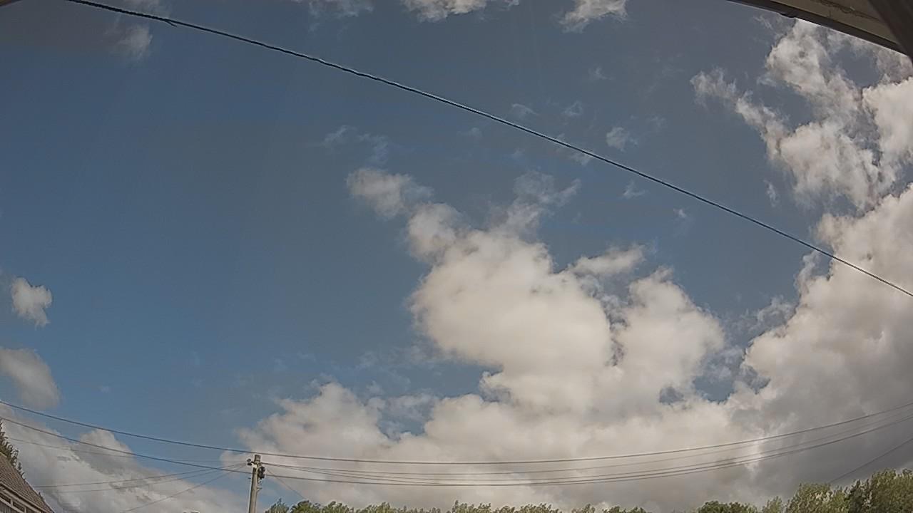 20260806_110704_cam2.jpg