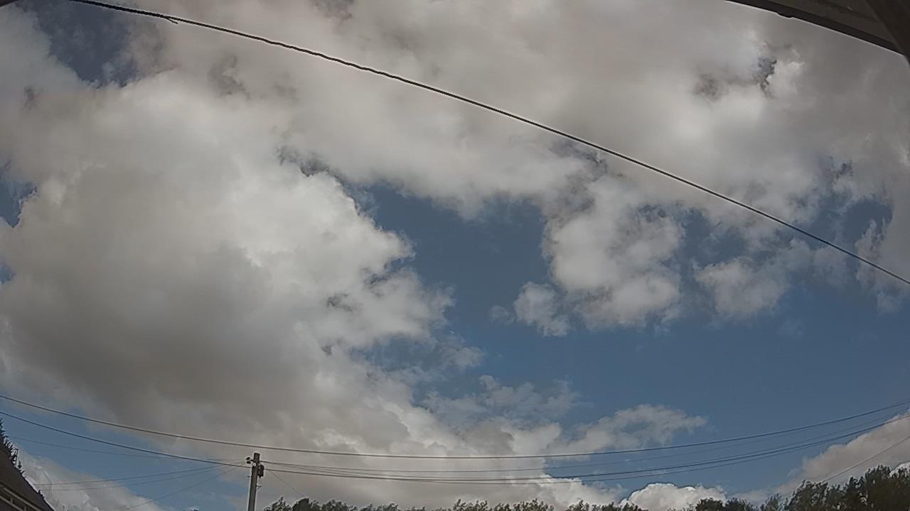 20260806_113826_cam2.jpg