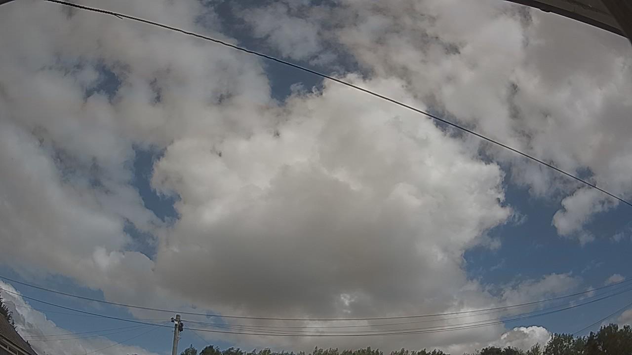 20260806_114123_cam2.jpg
