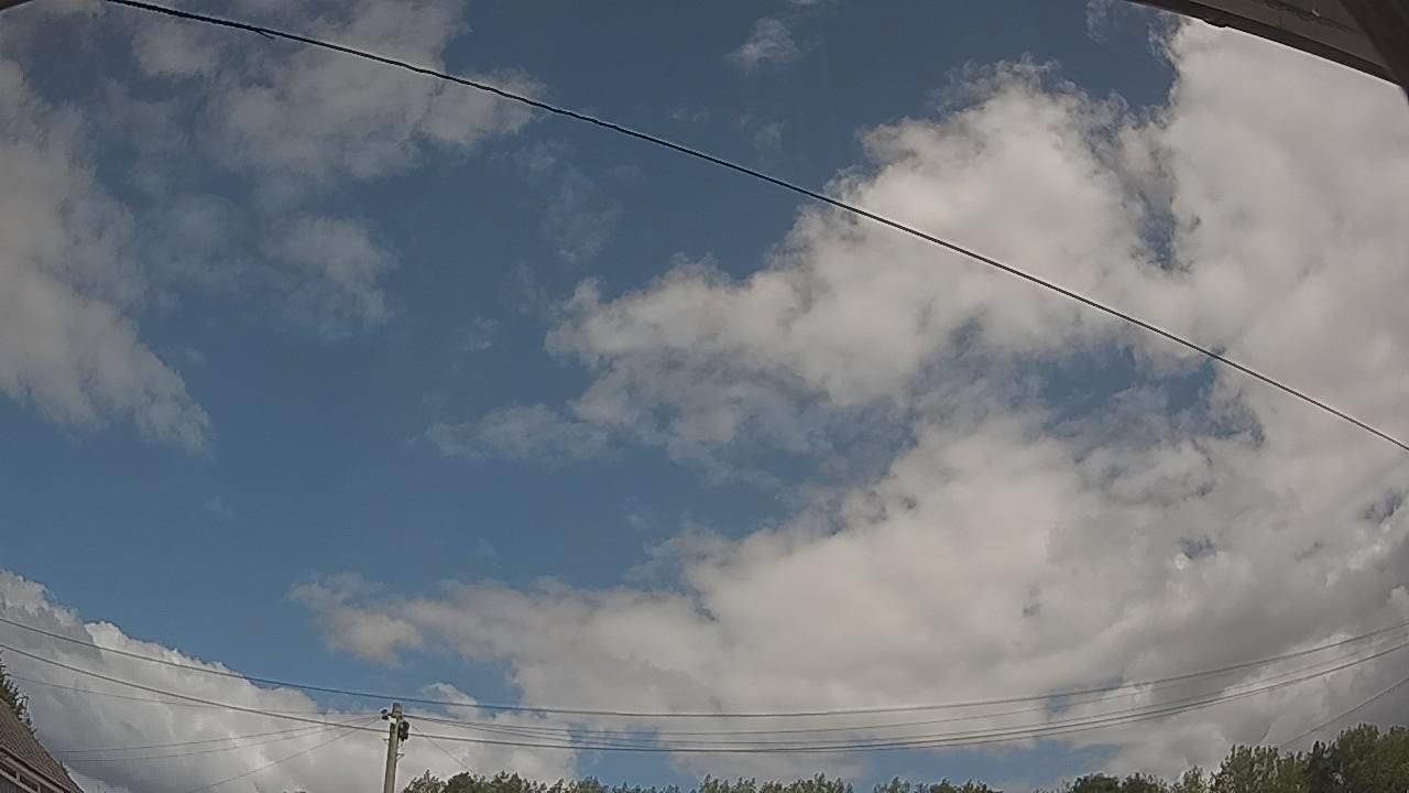 20260806_115015_cam2.jpg