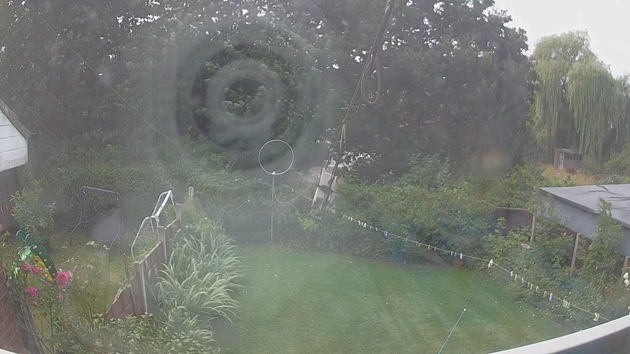 20260806_115848_cam1.jpg