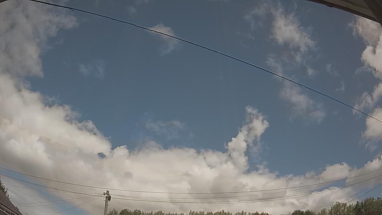 20260806_120129_cam2.jpg