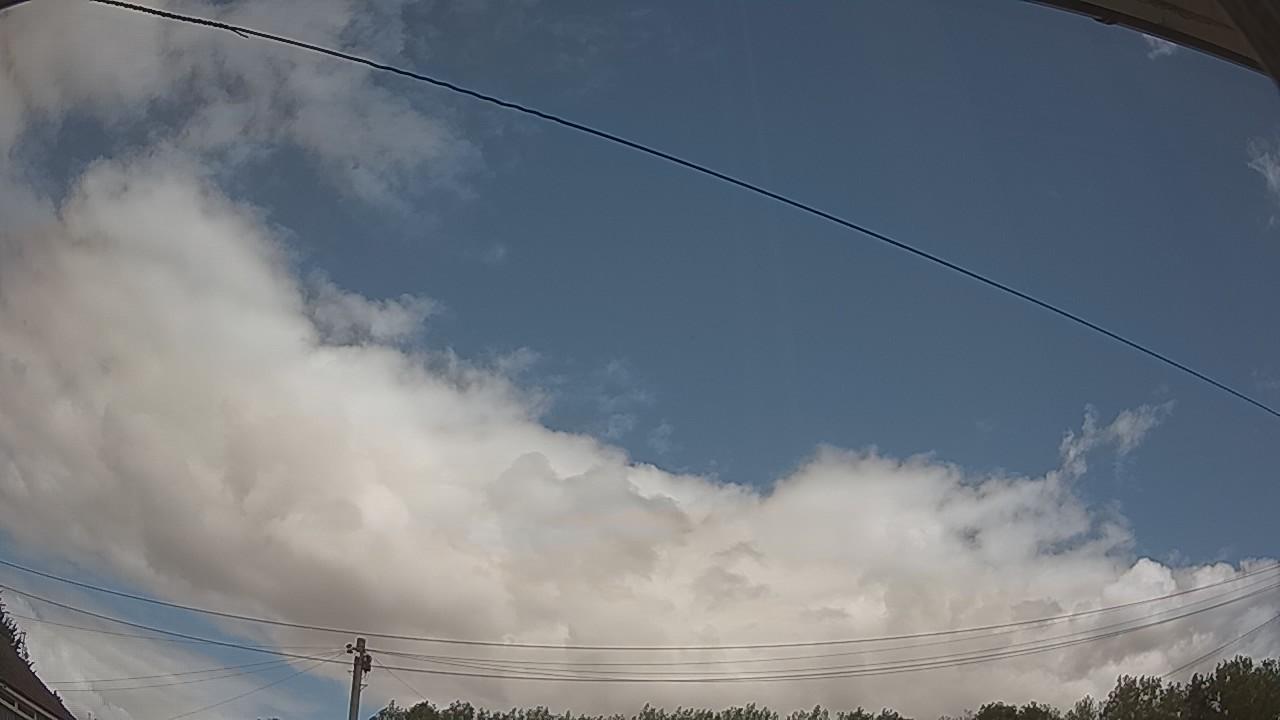 20260806_120408_cam2.jpg