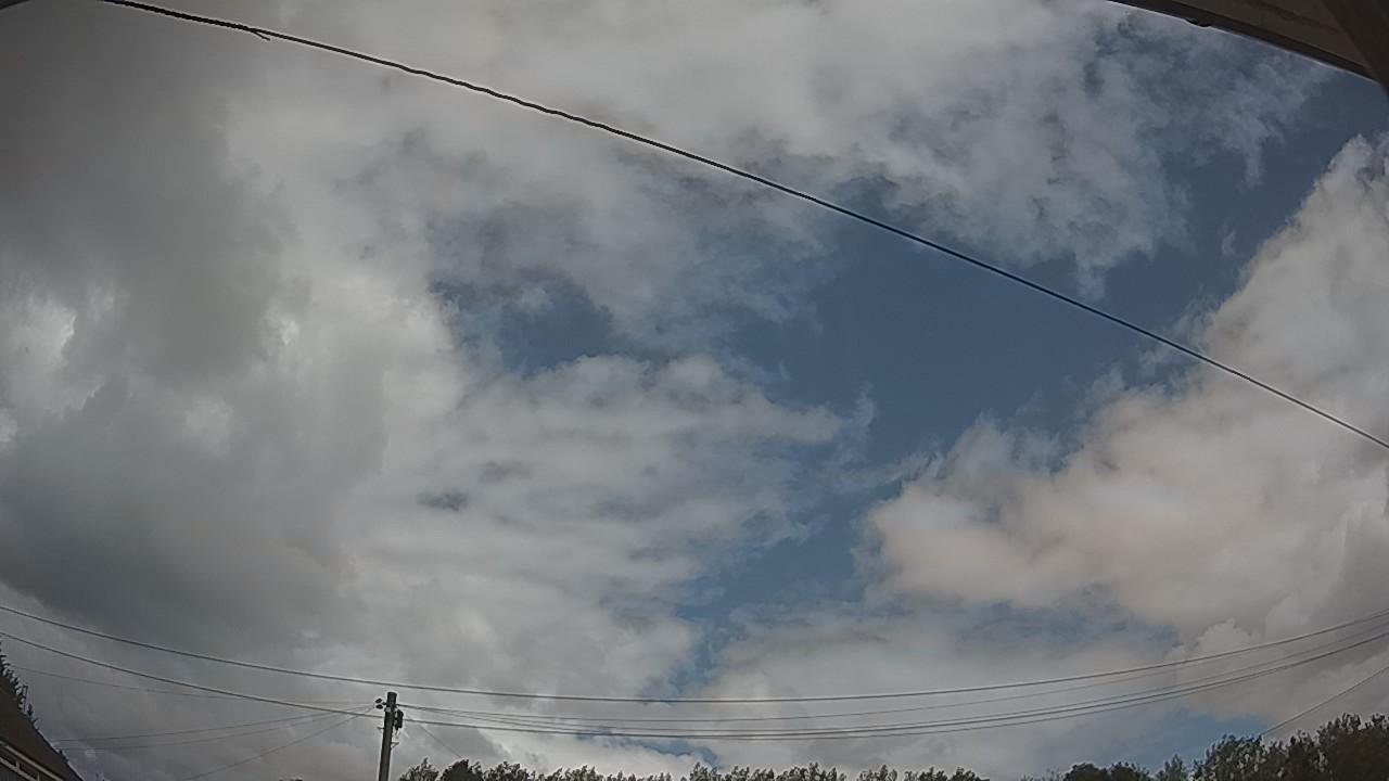 20260806_121725_cam2.jpg