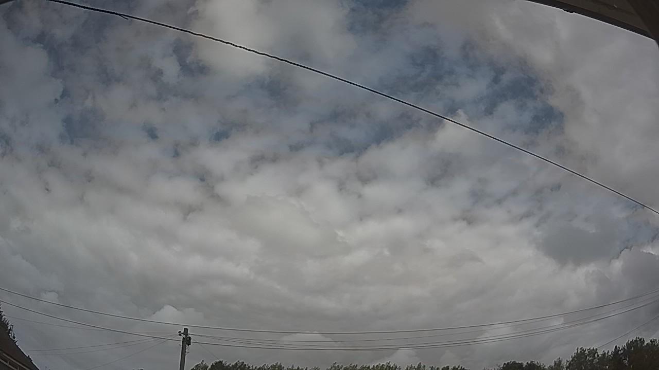 20260806_123416_cam2.jpg