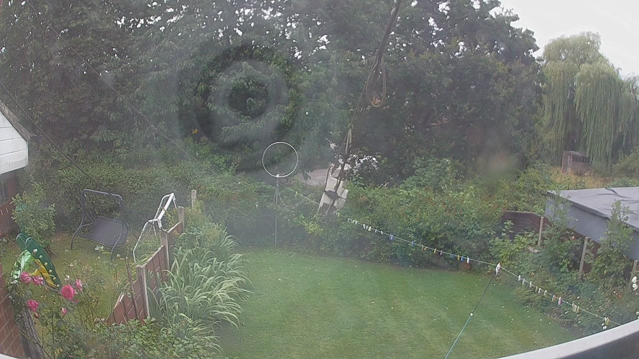 20260806_124901_cam1.jpg