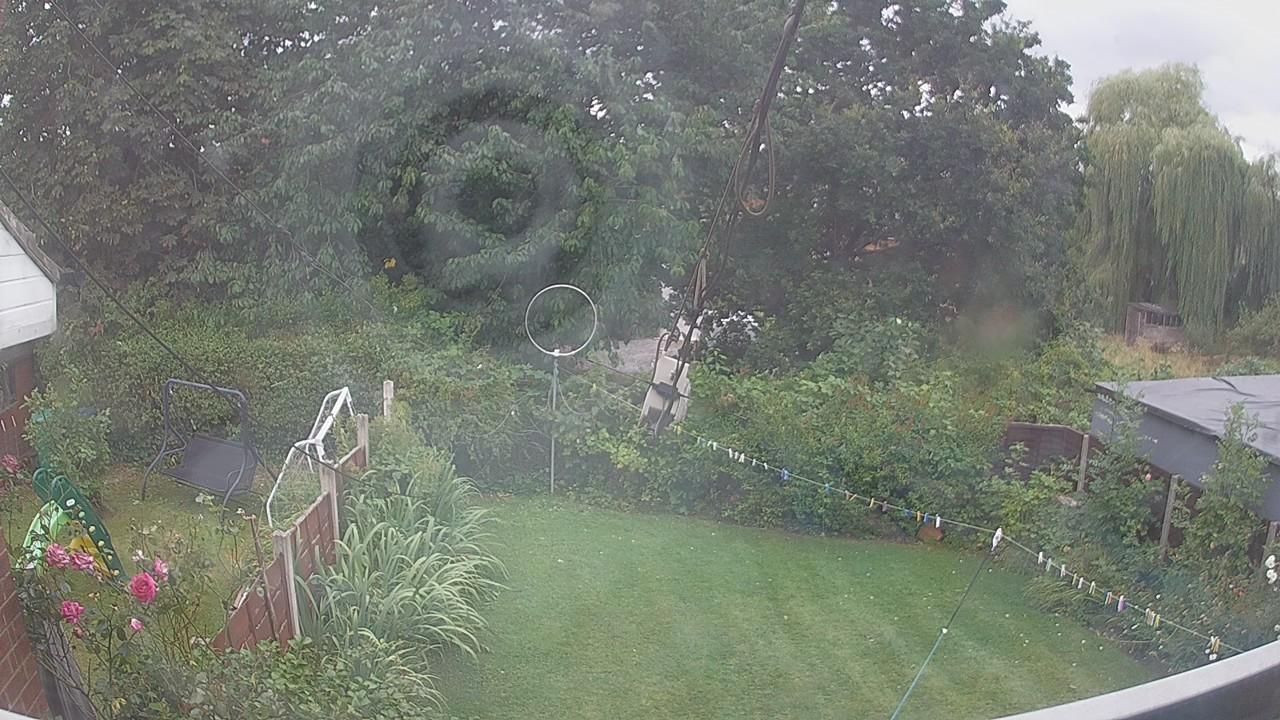 20260806_130107_cam1.jpg