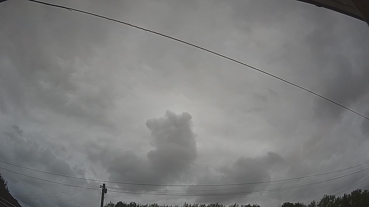 20260806_131026_cam2.jpg