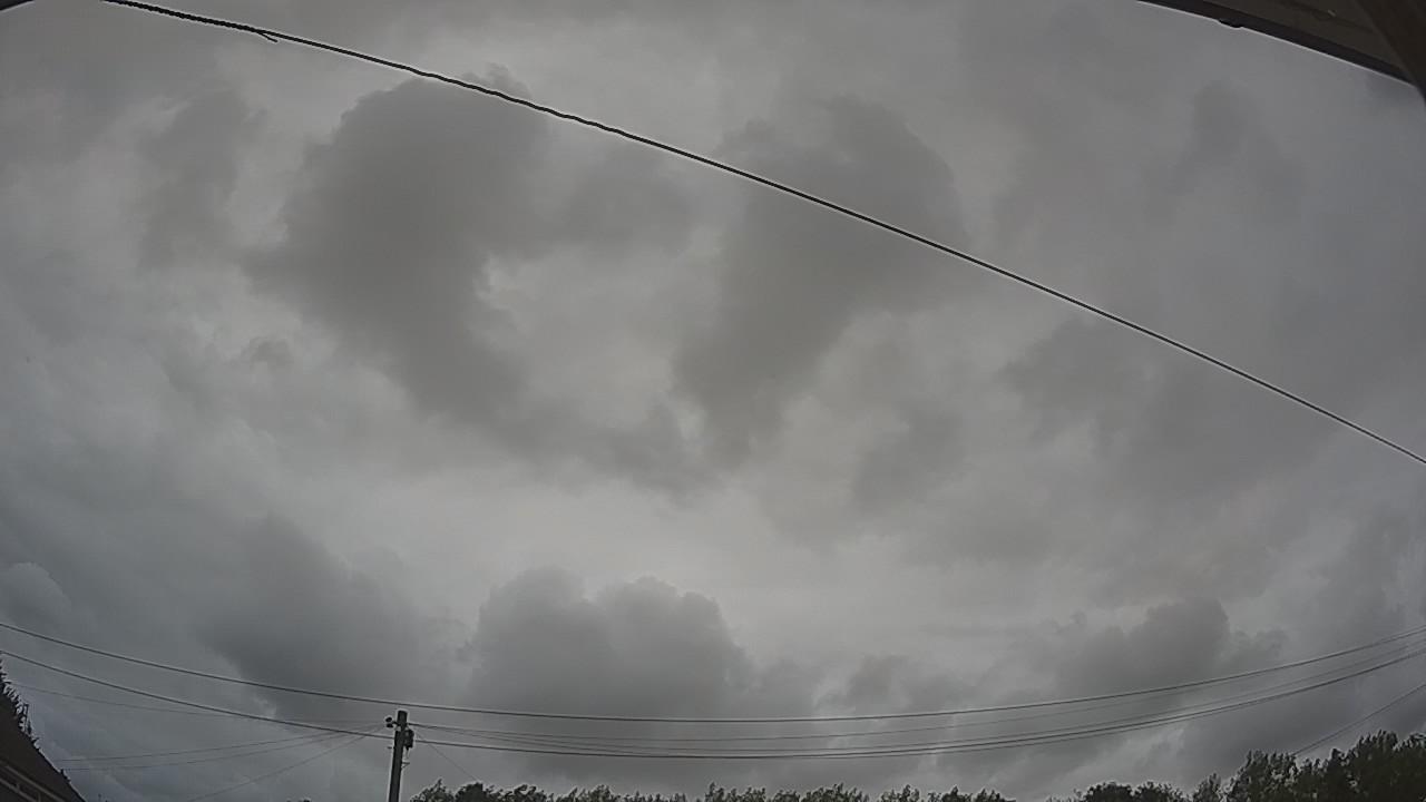 20260806_131638_cam2.jpg