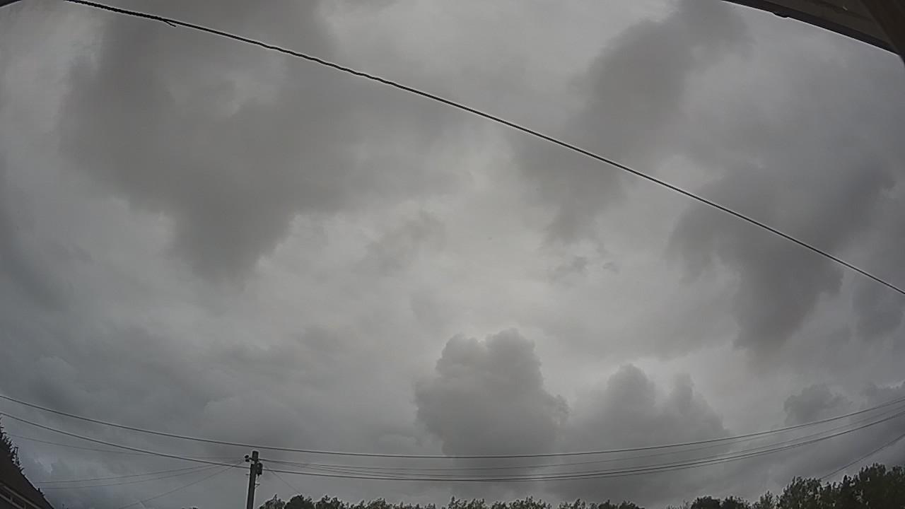 20260806_131944_cam2.jpg