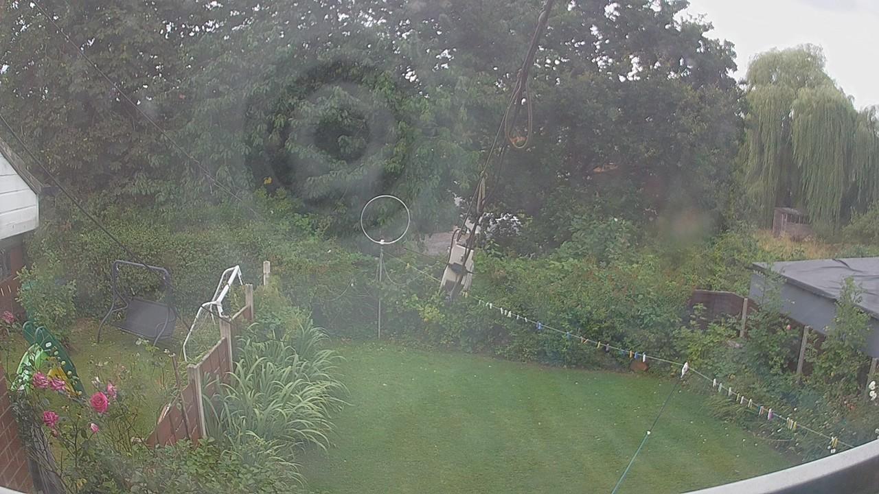 20260806_133208_cam1.jpg