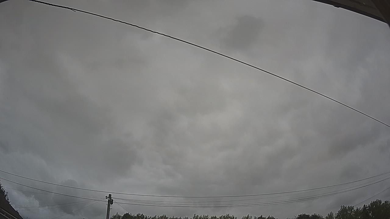 20260806_133209_cam2.jpg