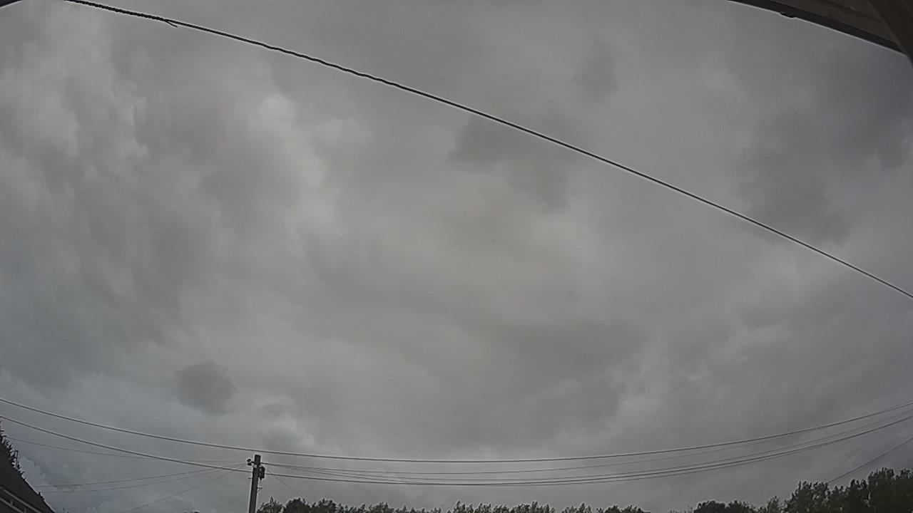 20260806_133515_cam2.jpg