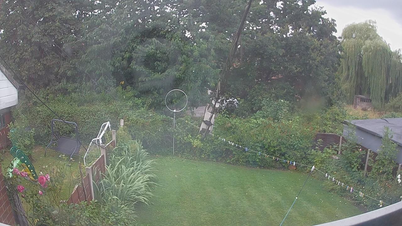 20260806_134126_cam1.jpg