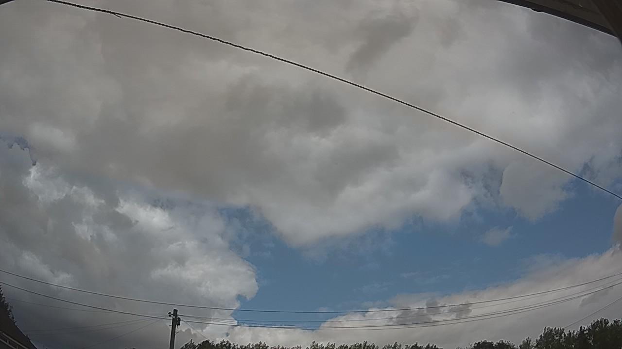 20260806_135045_cam2.jpg