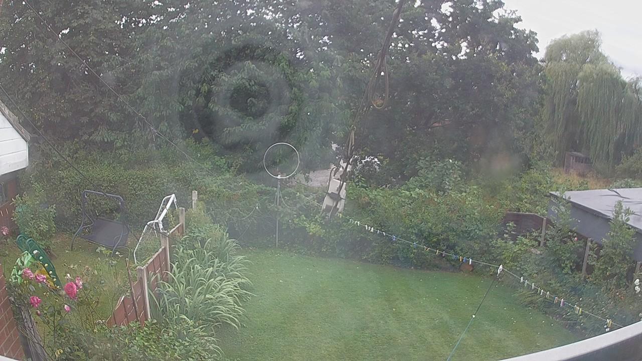 20260806_135656_cam1.jpg