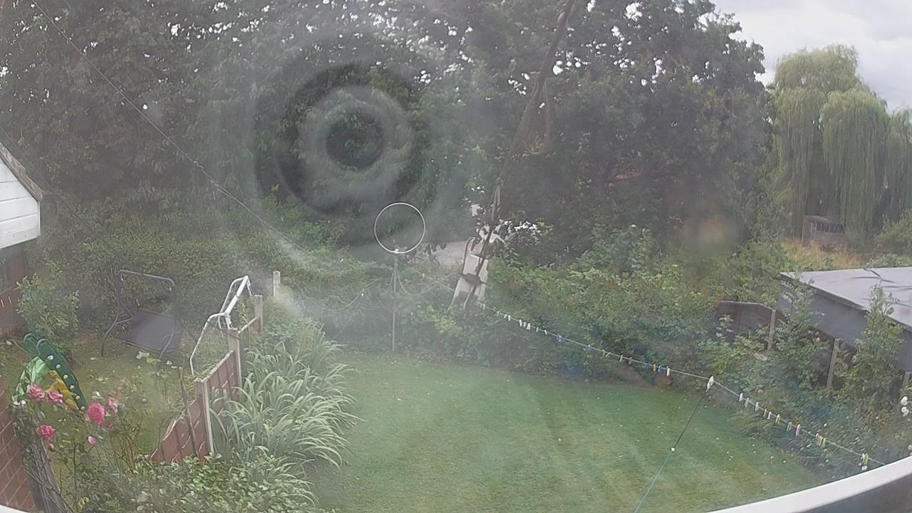 20260806_140010_cam1.jpg
