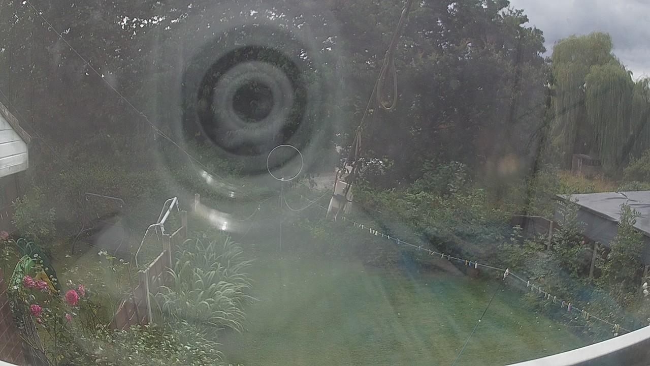 20260806_140956_cam1.jpg