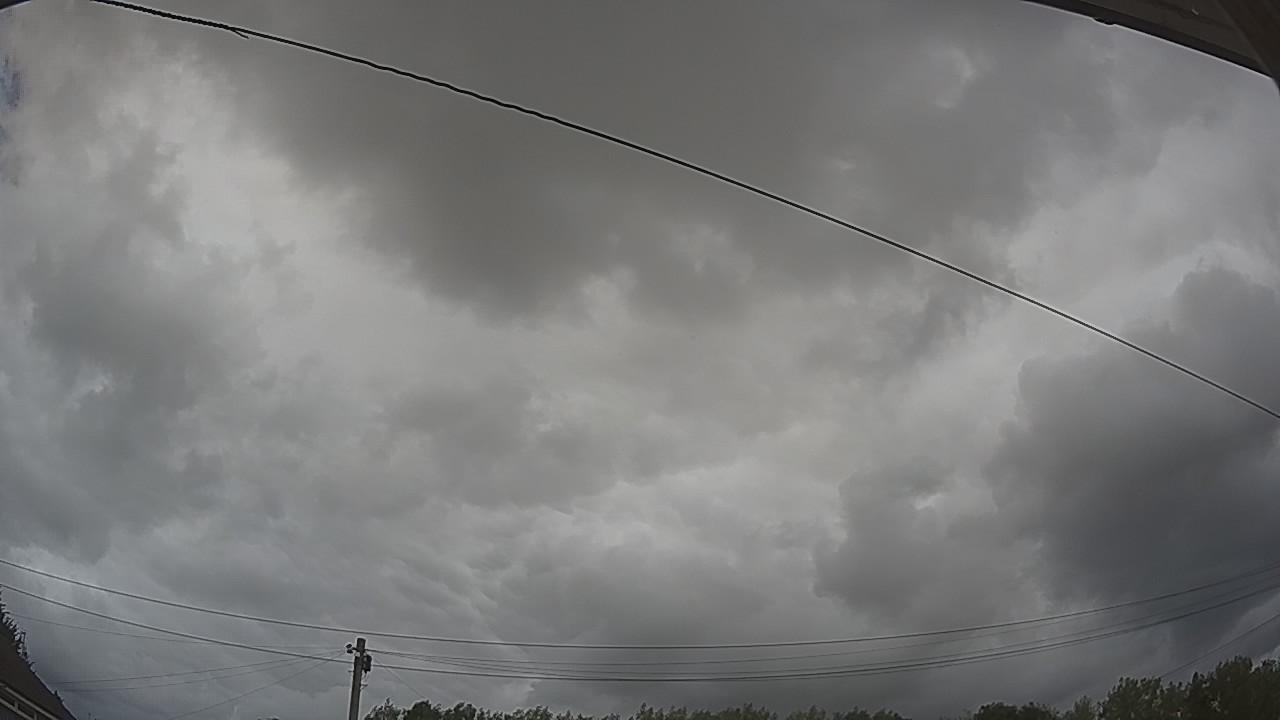 20260806_141626_cam2.jpg