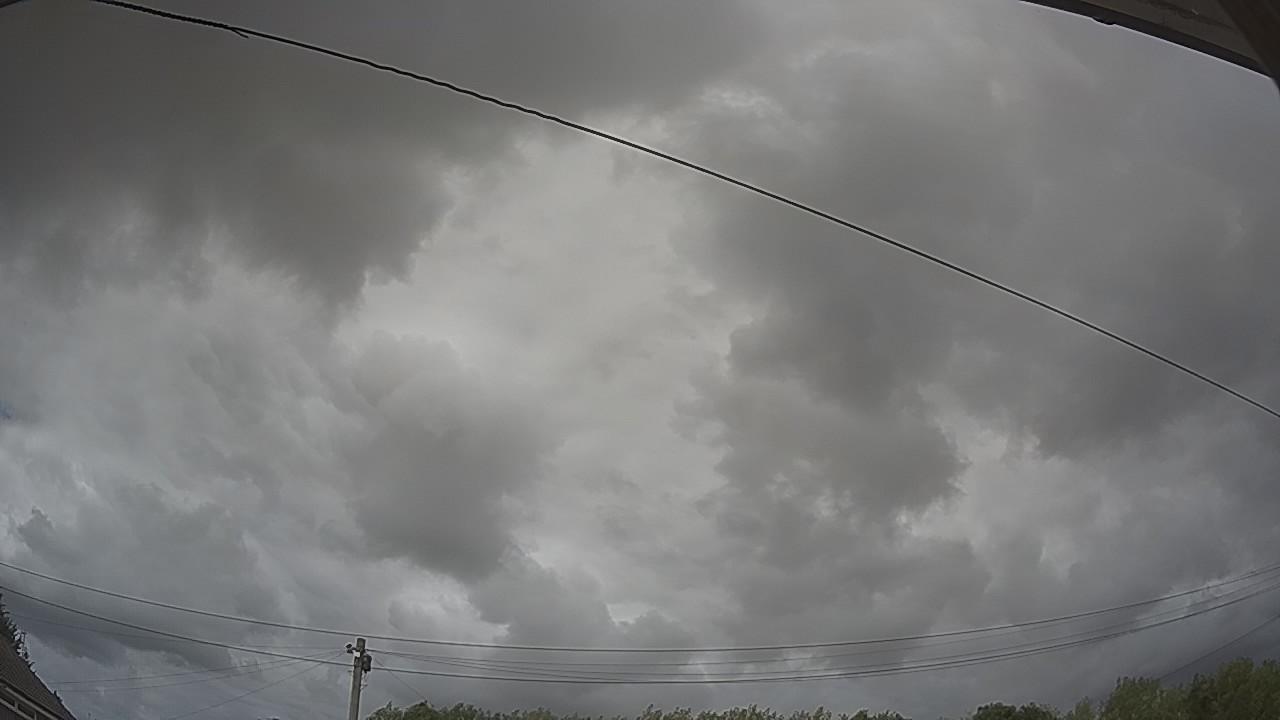 20260806_144942_cam2.jpg