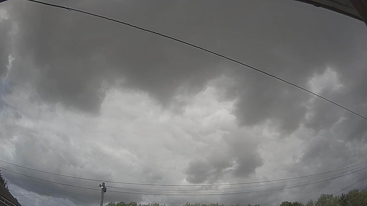 20260806_145239_cam2.jpg