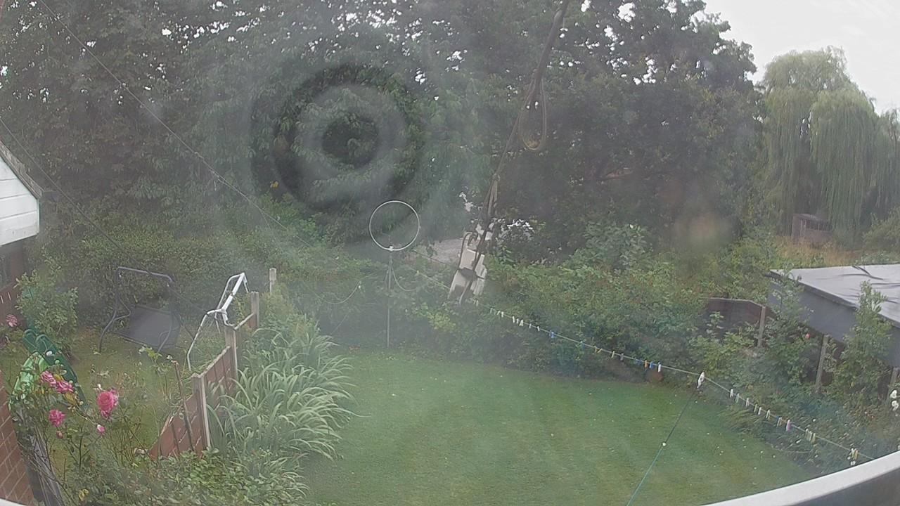 20260806_150429_cam1.jpg