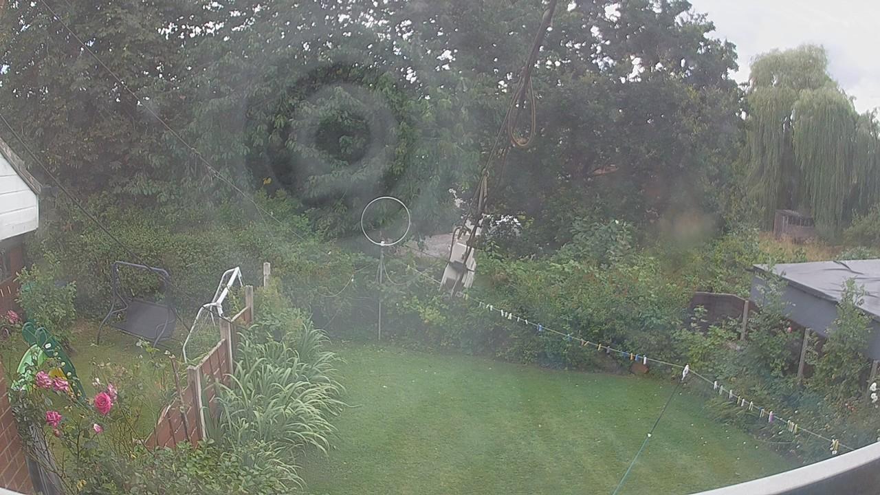 20260806_155428_cam1.jpg