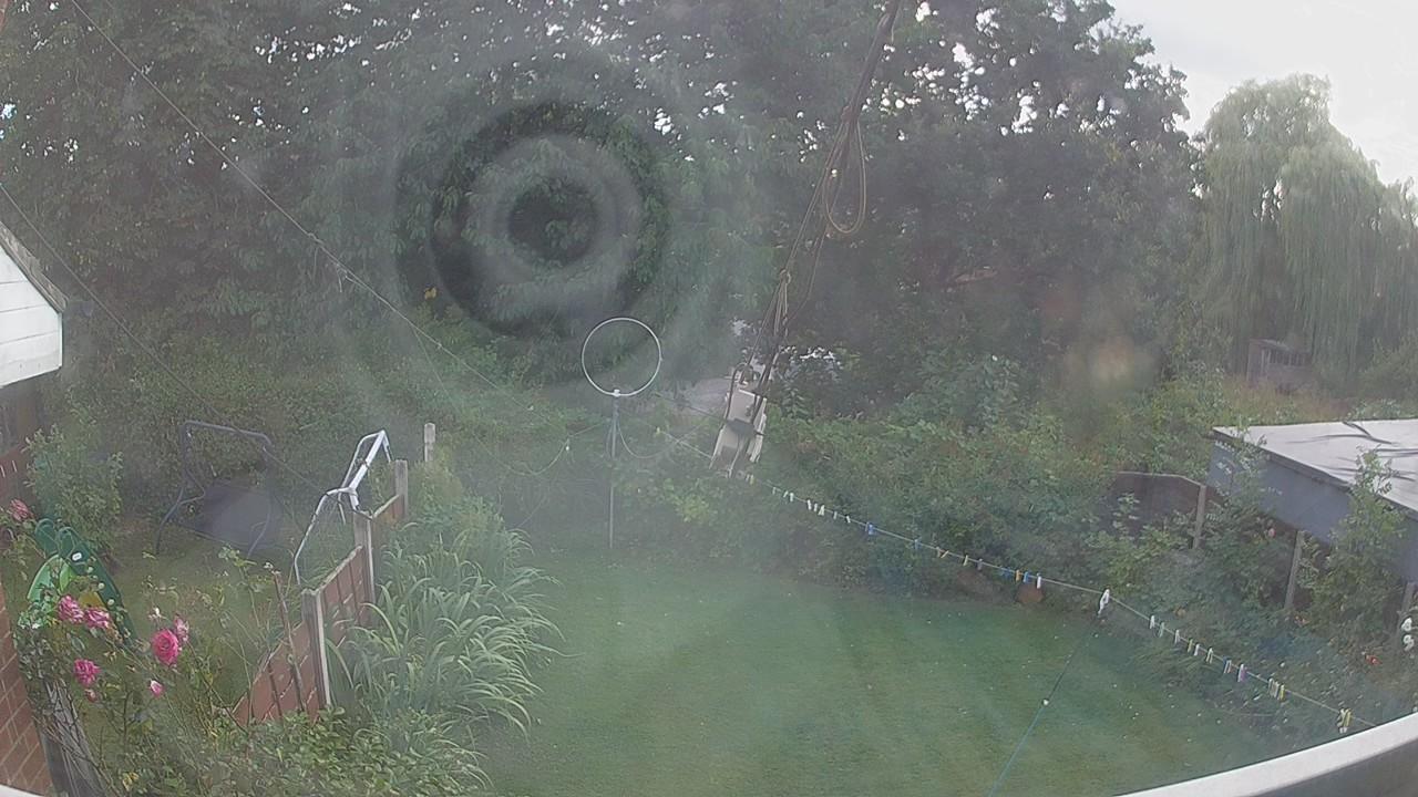 20260806_172347_cam1.jpg