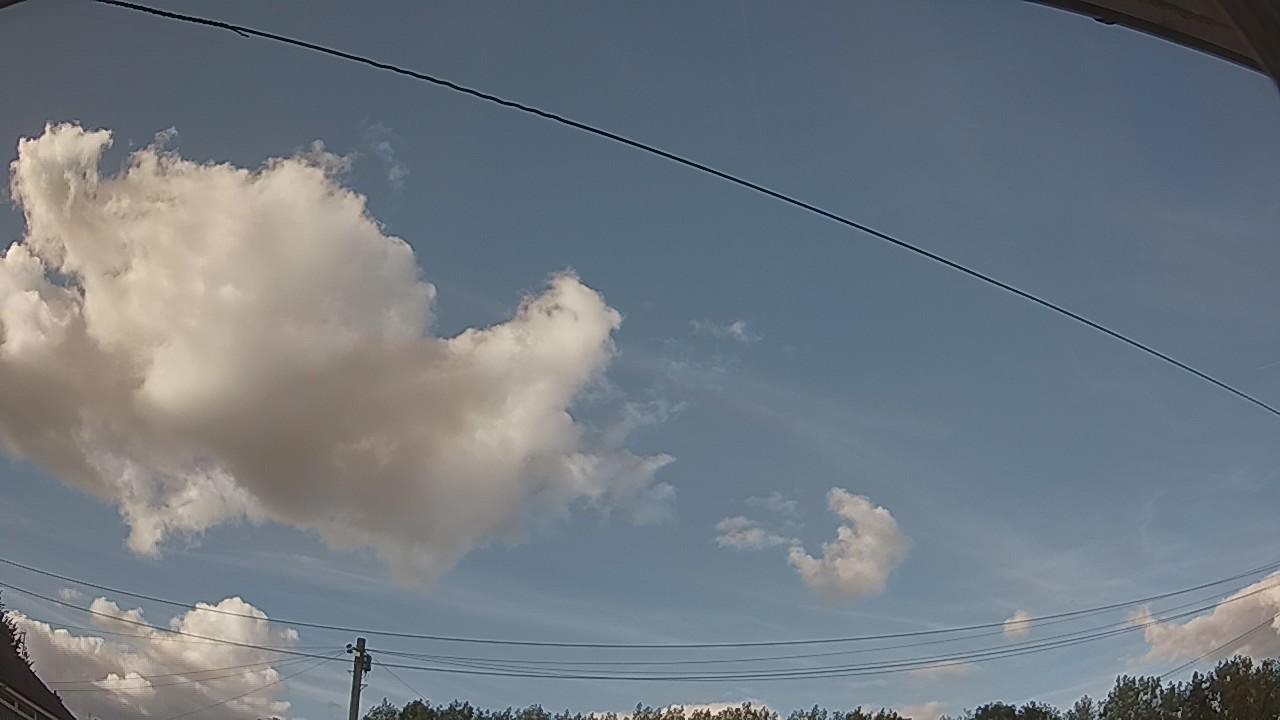 20260806_174221_cam2.jpg