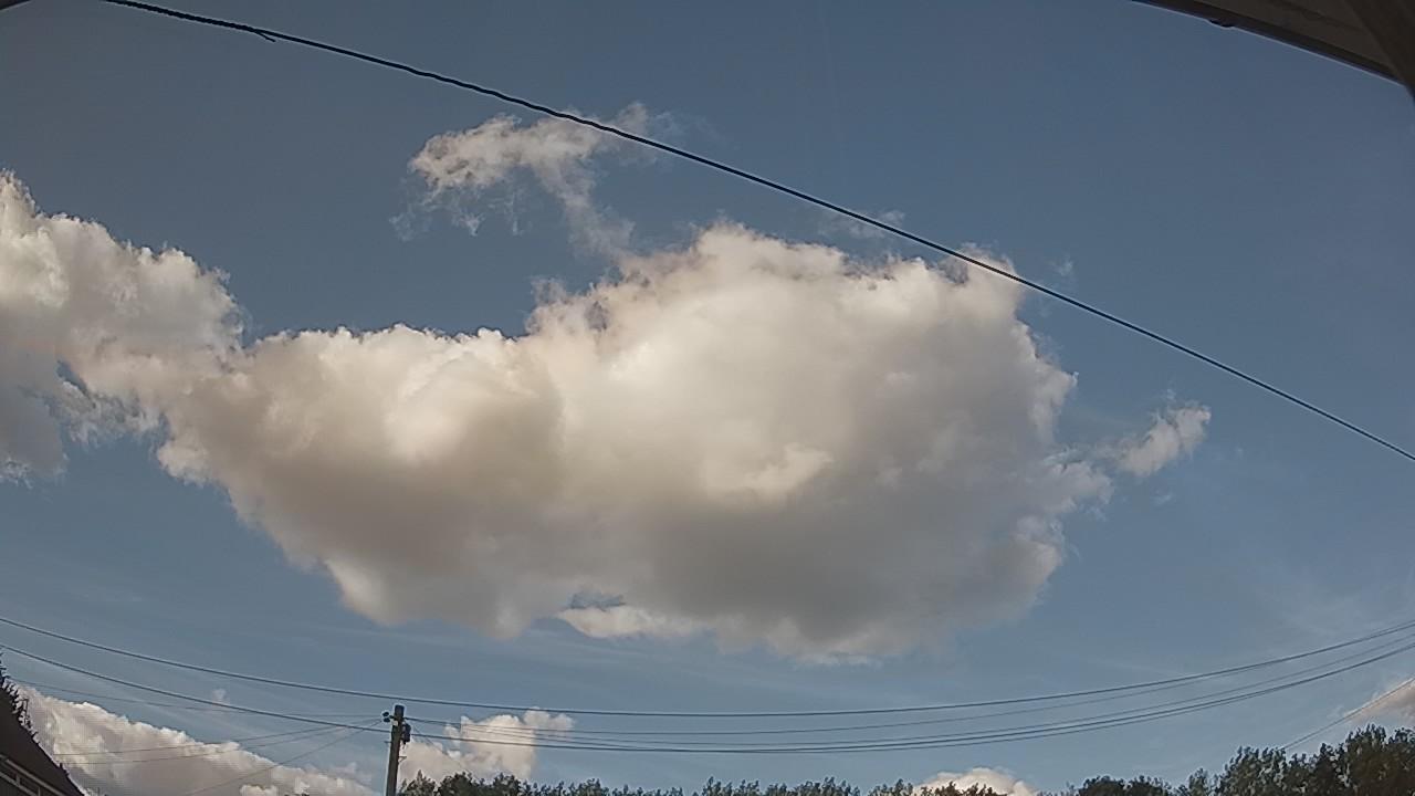 20260806_174604_cam2.jpg