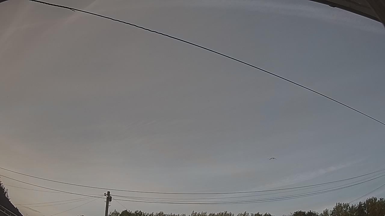 20260806_191913_cam2.jpg