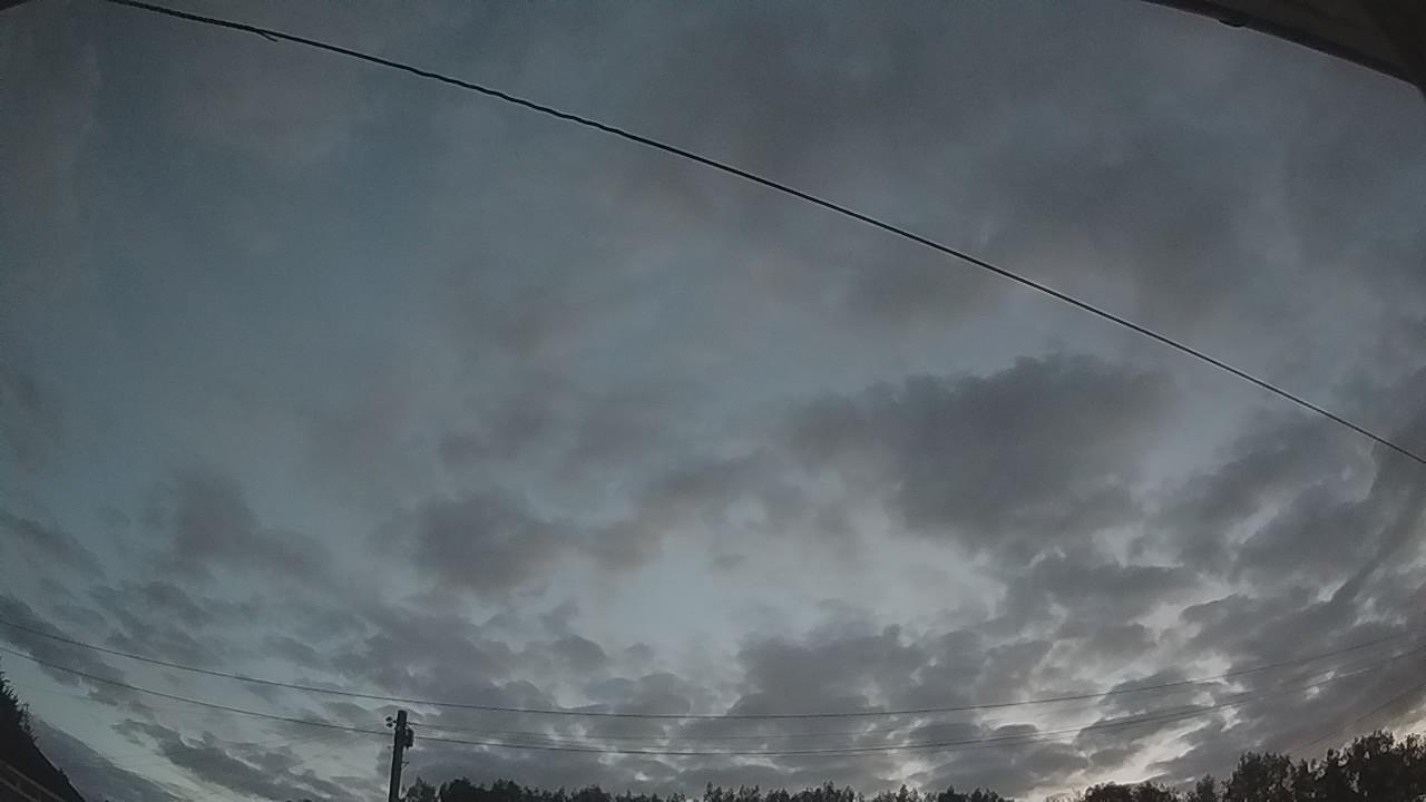 20260807_035607_cam2.jpg