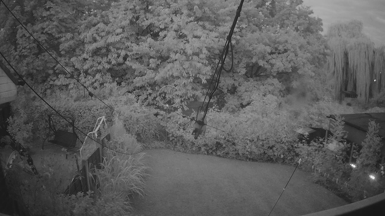 20260807_040052_cam1.jpg