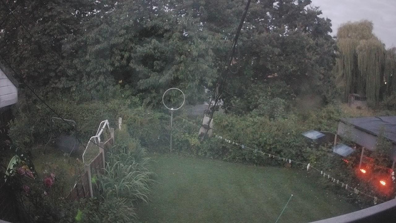 20260807_040538_cam1.jpg