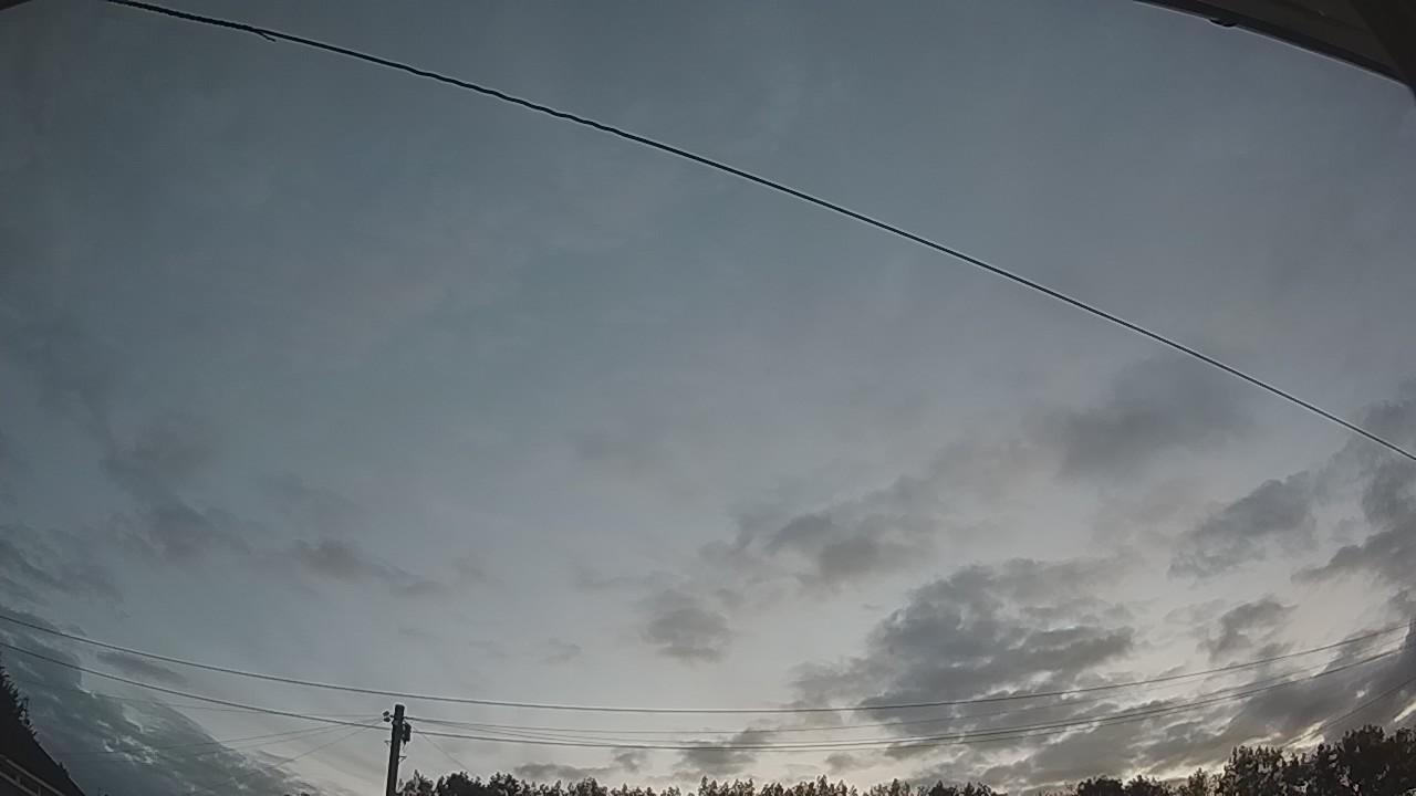 20260807_041023_cam2.jpg