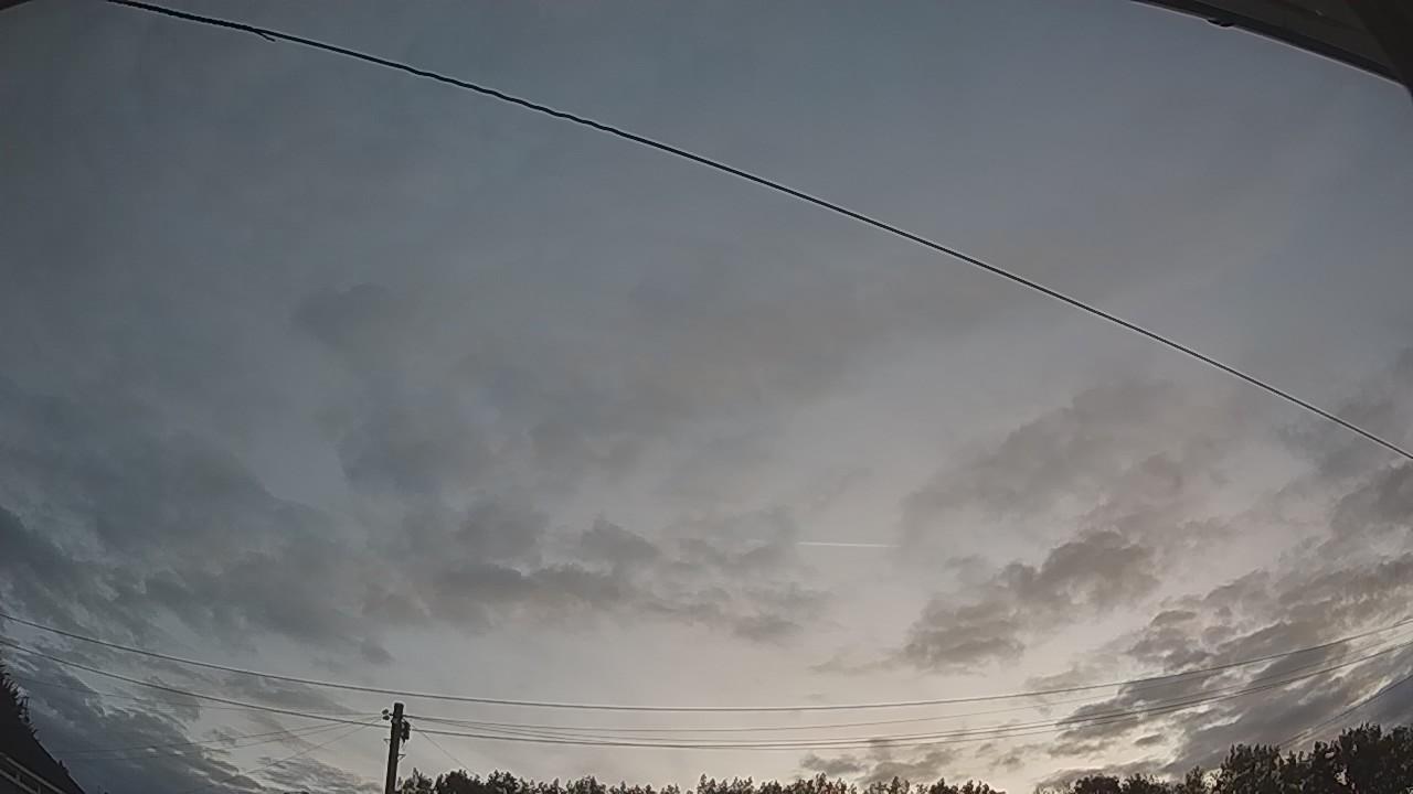 20260807_041508_cam2.jpg