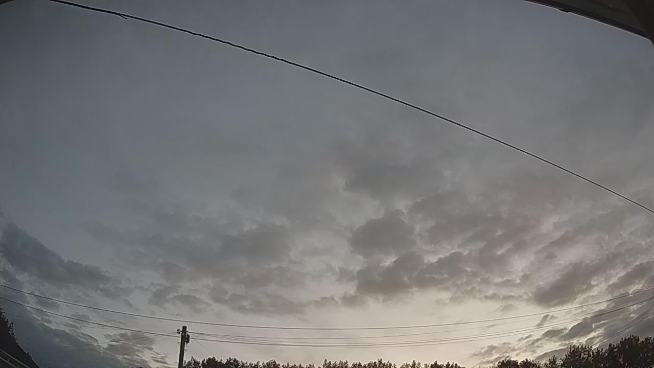 20260807_041954_cam2.jpg