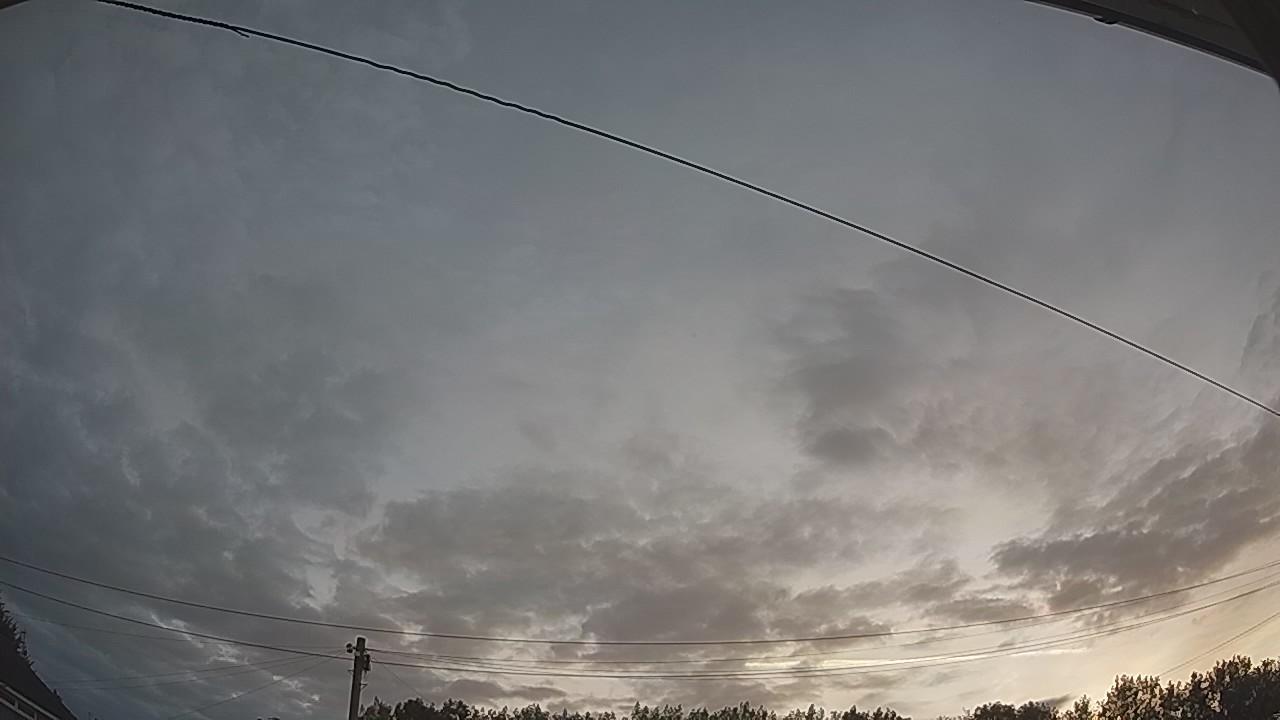 20260807_043351_cam2.jpg