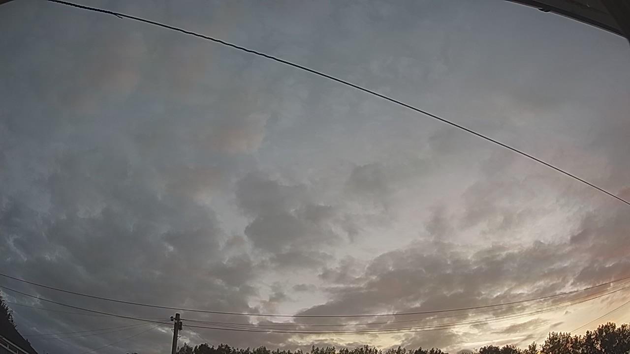 20260807_043827_cam2.jpg