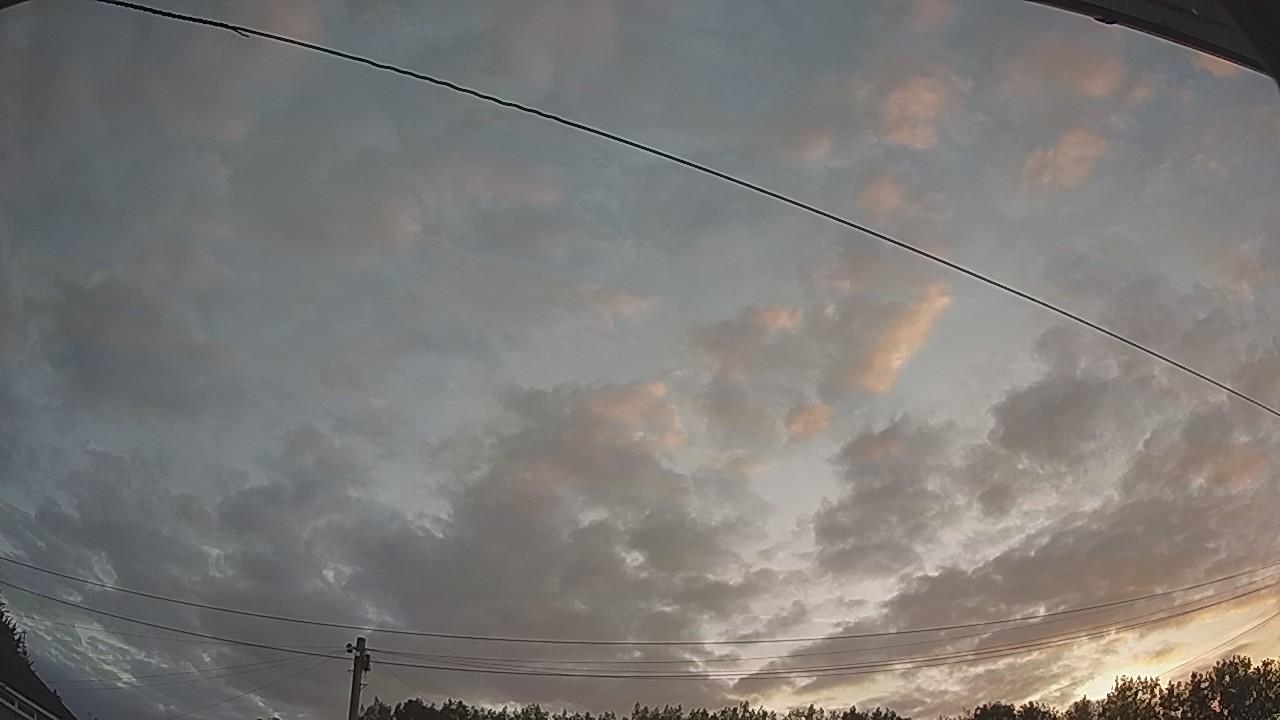 20260807_044303_cam2.jpg