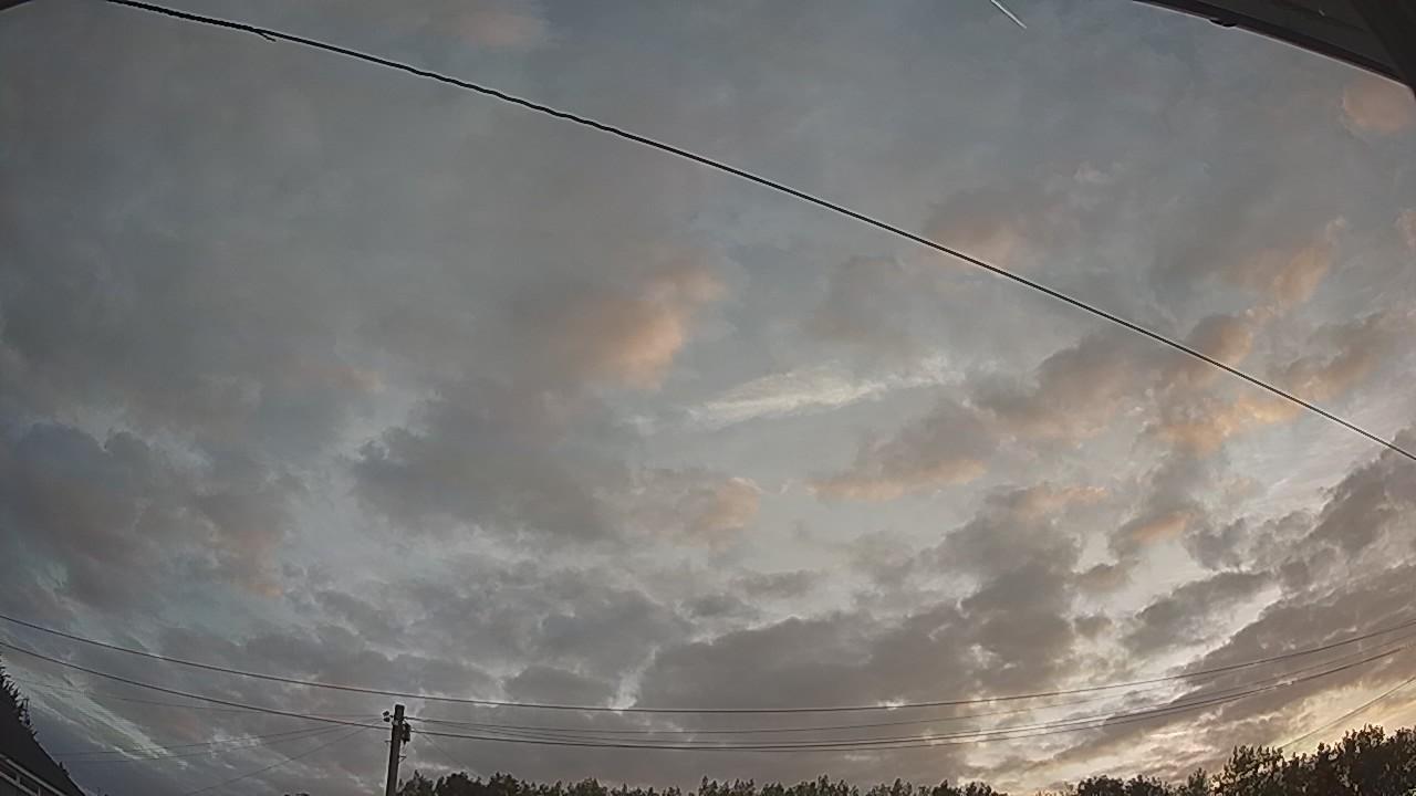 20260807_044739_cam2.jpg