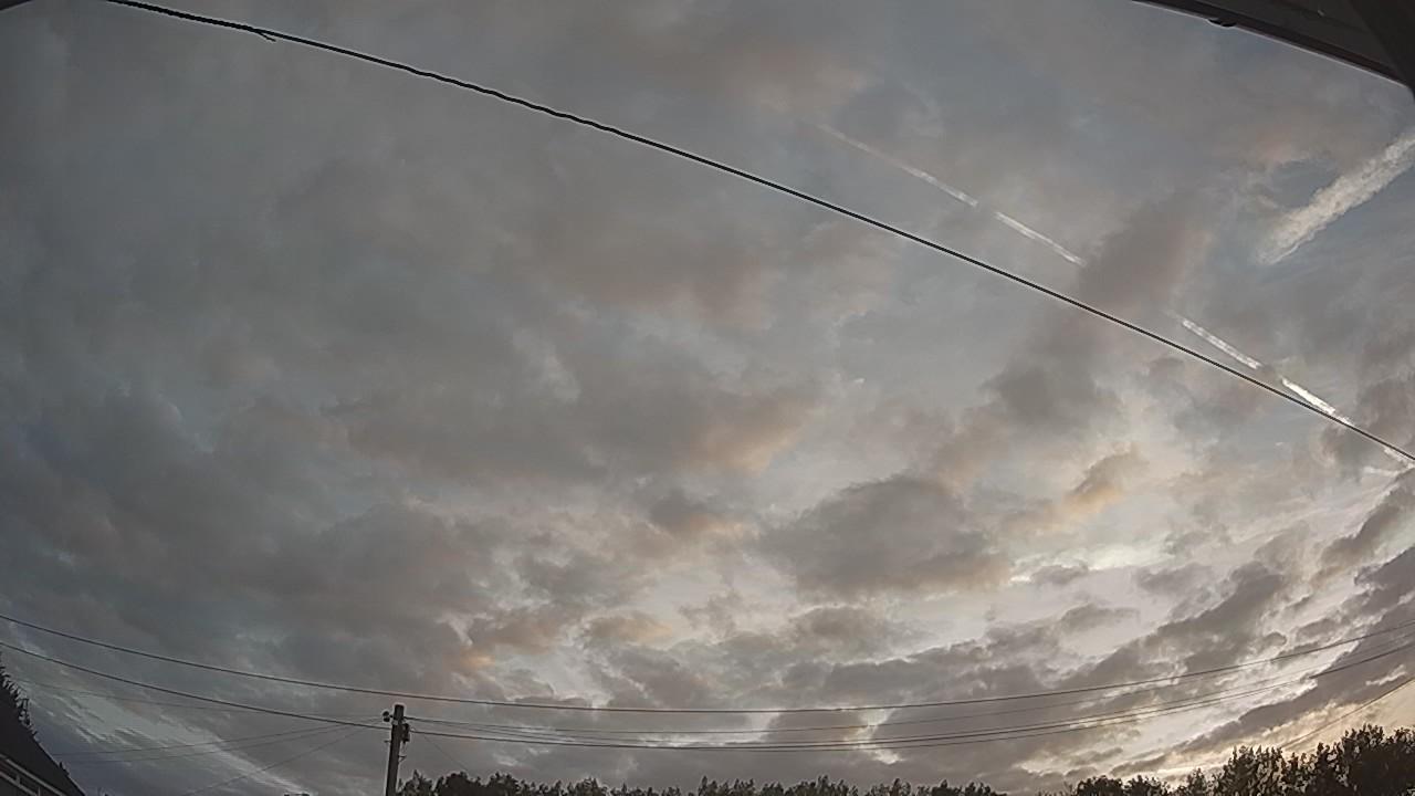 20260807_045216_cam2.jpg