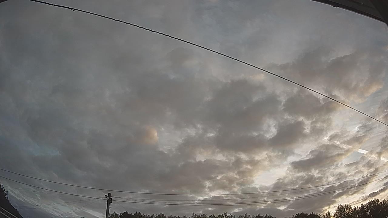 20260807_045652_cam2.jpg