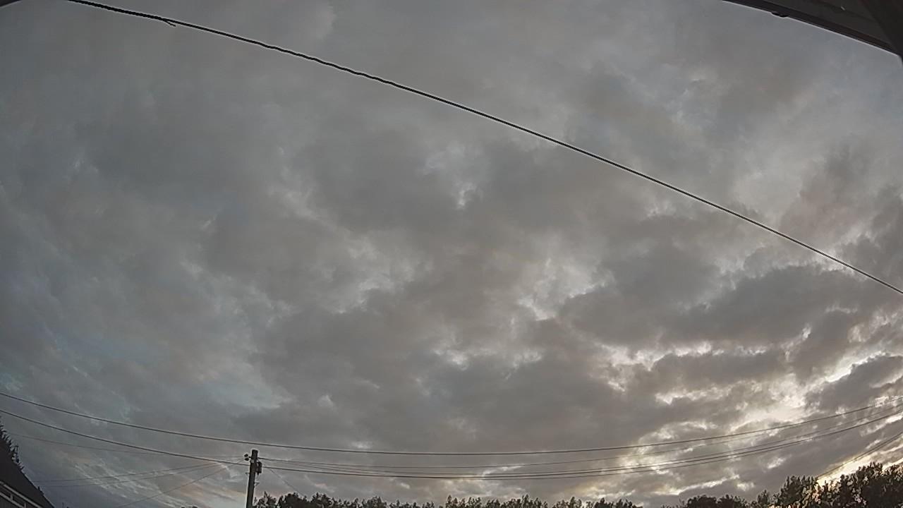 20260807_050128_cam2.jpg
