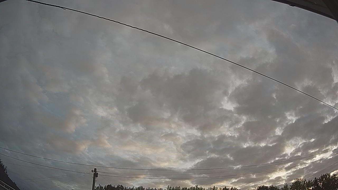 20260807_050604_cam2.jpg